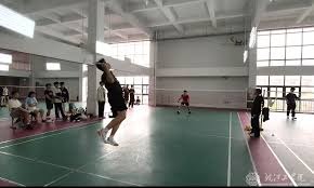 IGN日本年度游戏奖评选结果出炉！《光与影》依旧第一