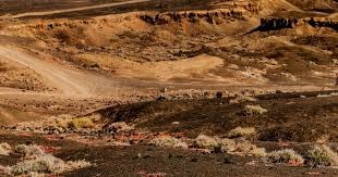 雷吉·米勒：勇士目前不是争冠球队 我只希望他们没浪费库里时间